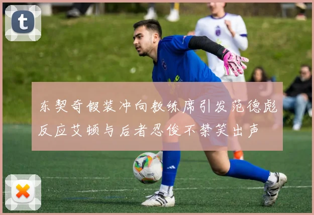 东契奇假装冲向教练席引发范德彪反应艾顿与后者忍俊不禁笑出声