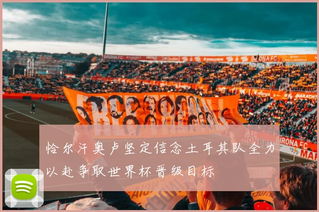 恰尔汗奥卢坚定信念土耳其队全力以赴争取世界杯晋级目标